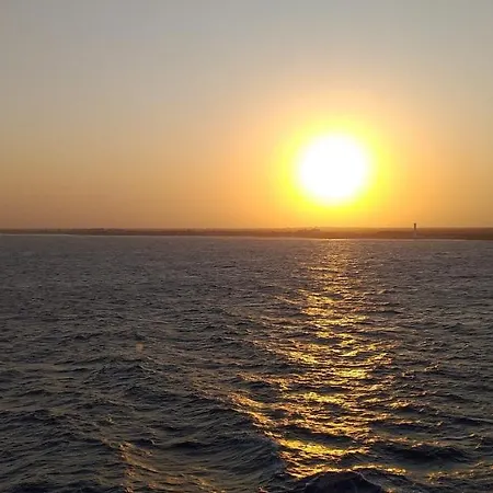 Rosy House スカレア