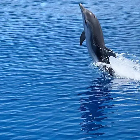 Rosy House ベッド・アンド・ブレックファスト